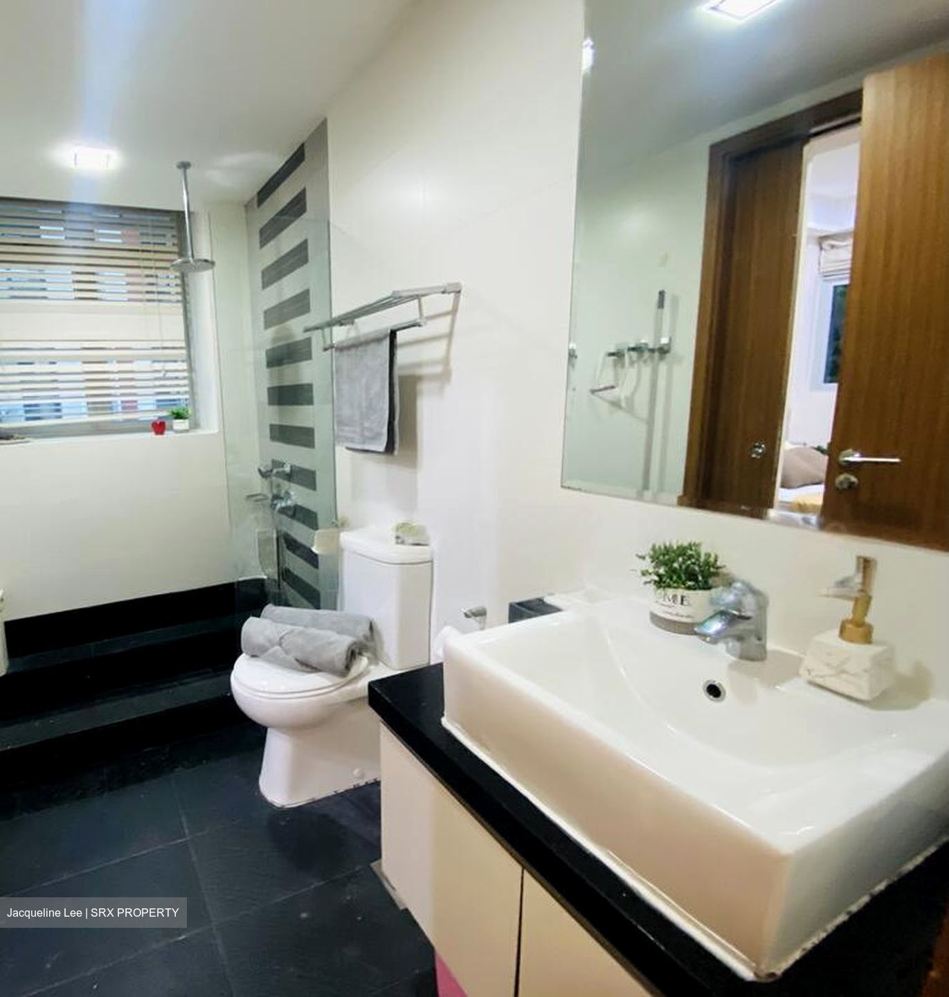 Rhapsody On Mount Elizabeth (D9), Apartment #503772341